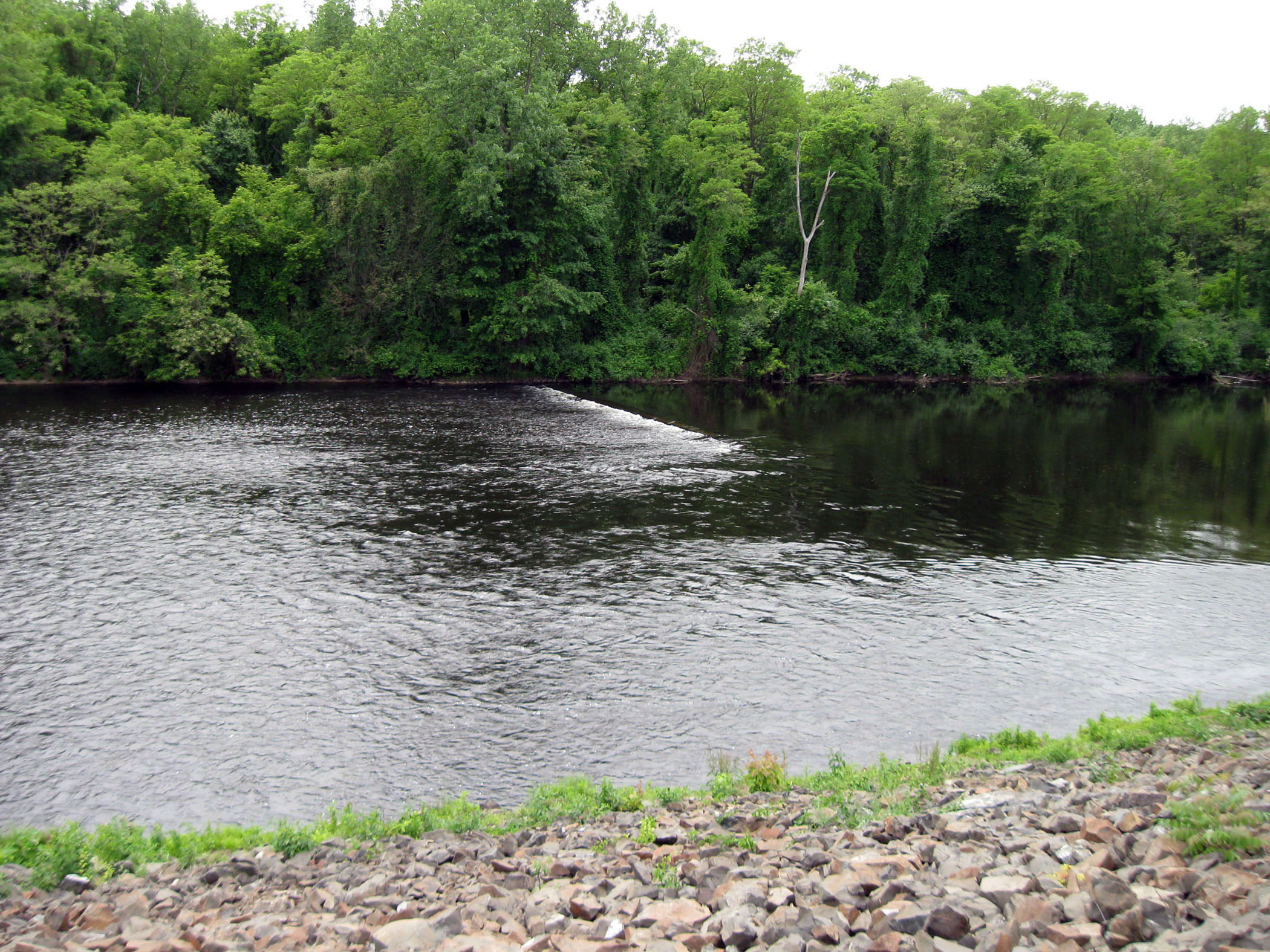 Chicopee Local Protection Project