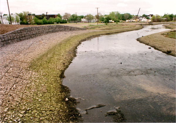 Town Brook Local Protection Project